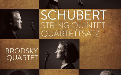 Laura van der Heijden – Nueva Grabación